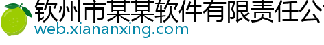 钦州市某某软件有限责任公司